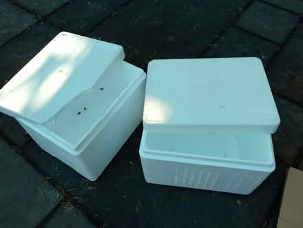 Photo of free 2 Expanded Polystyrene boxes (Penn Hill BH14) #1