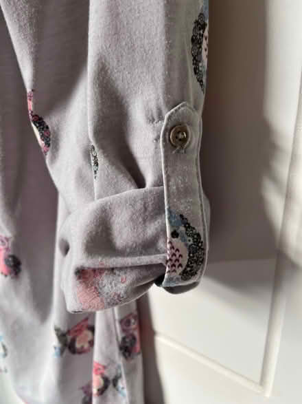 Photo of free Ladies Grey Owl Top (Titchfield Common PO14) #2