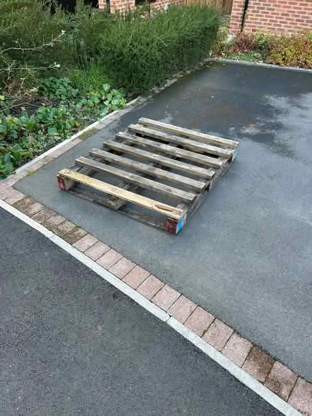 Photo of free Pallet (Congleton CW12) #1