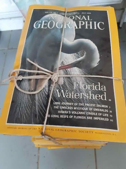 Photo of free National Geographic magazines (Little Totham CM9) #2