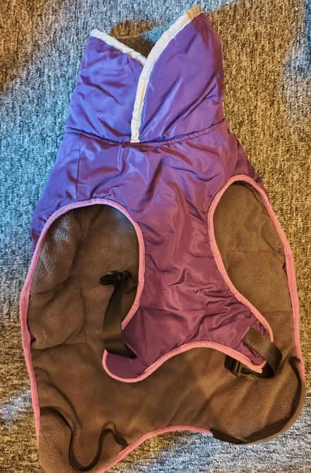 Photo of free Purple medium dog coat (Woodlesford LS26) #1