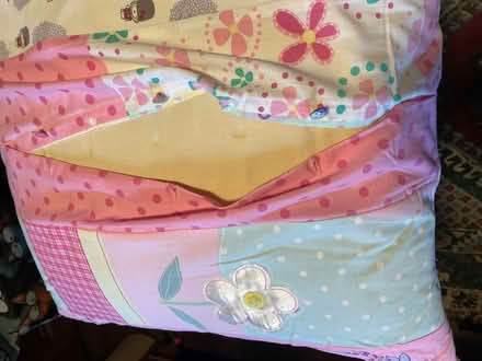 Photo of free Floor cushion (Chorlton M21) #3