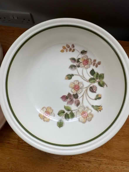 Photo of free Bowls and plates (Broadclyst, EX5) #2