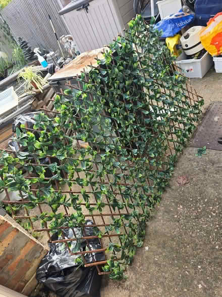 Photo of free expandable artificial leaf trellis fence (Elmers End BR3) #2