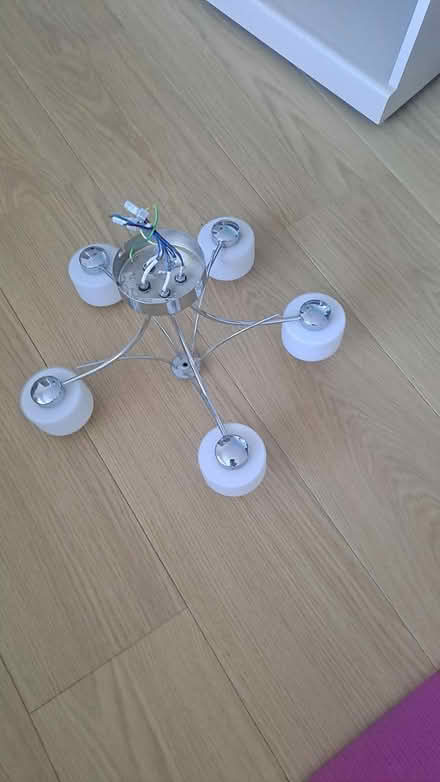 Photo of free 5 branch light (Worthing road) #2