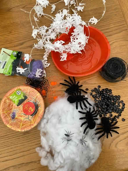 Photo of free Halloween party accessories/decorations (Hellesdon NR6) #1