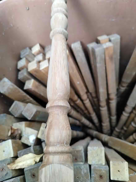 Photo of free Spindles (North Lichfield WS13) #2