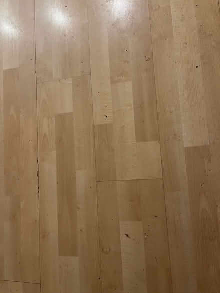 Photo of free Pale laminate flooring (Southville BS3) #3