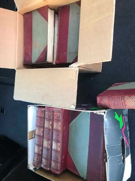 Photo of free Arabian Nights (Shepherds Bush W12) #3