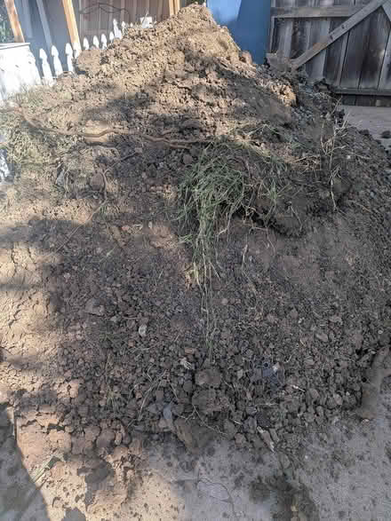 Photo of free dirt (Concord) #2