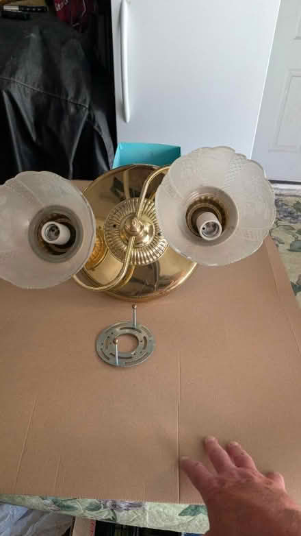 Photo of free Victorian Glass Ceiling Light Fixtu (Near Downtown Downers Grove) #3