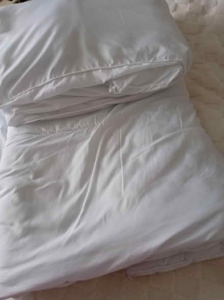 Photo of free Single Duvet 15 Tog (Thornton-Cleveleys FY5) #3