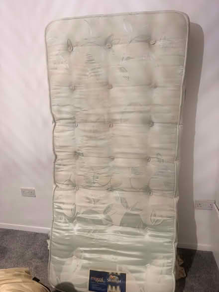 Photo of free Single mattress (Wybourn S2) #2