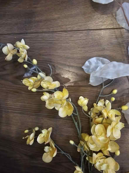 Photo of free 3 artificial flowers, leaves (CROWBOROUGH Tn6) #2
