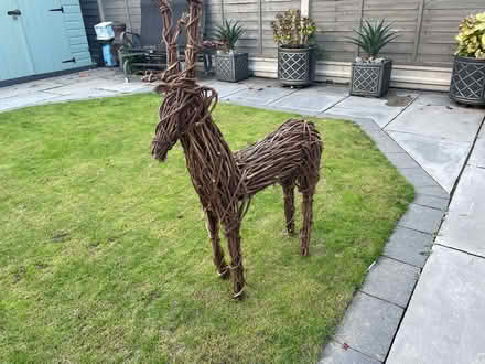Photo of free Reindeer (Hoddesdon EN11) #1