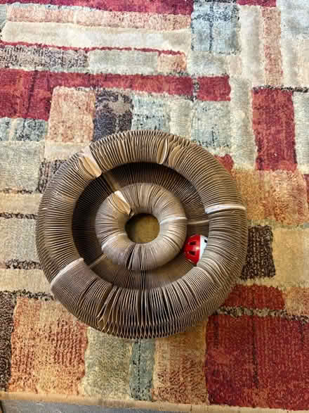 Photo of free Cat toys (Glenrothes KY7) #2