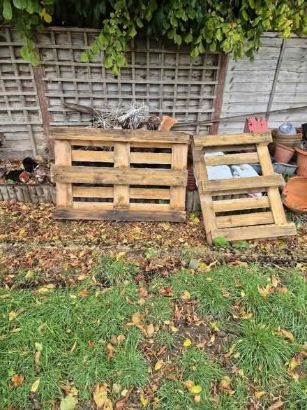 Photo of free 7 Pallets (Caversham Heights RG4) #1