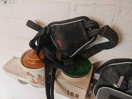 Photo of free Halti No pull dog harness (Bawdsey IP12) #1