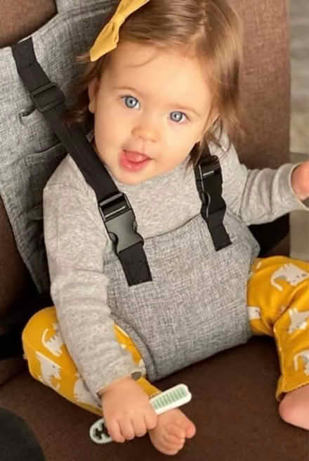 Photo of free Baby High Chair Travel Harness Seat (Newington Green N16) #3