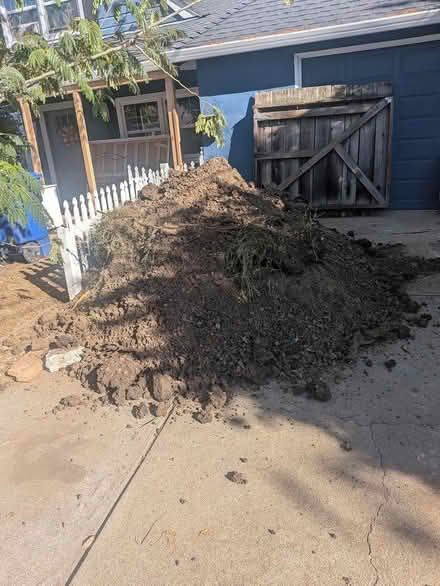Photo of free dirt (Concord) #1