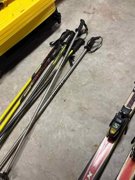 Photo of free adult skis (Wellesley Hills) #3