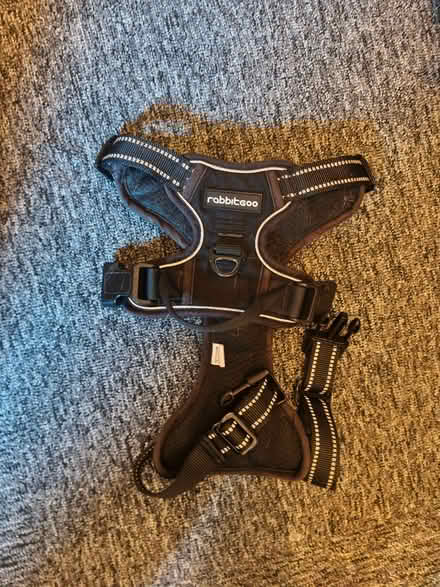 Photo of free Black small to medium dog harness (Woodlesford LS26) #1