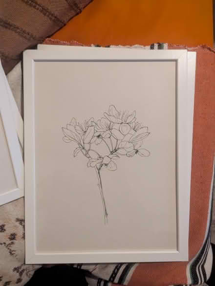 Photo of free Three framed prints (Leith, Edinburgh) #1