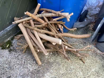 Photo of free Small logs (Ipswich IP3) #1