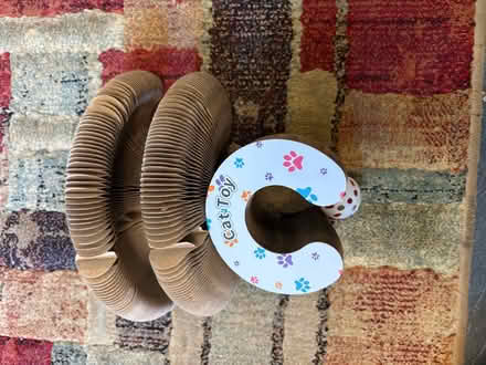 Photo of free Cat toys (Glenrothes KY7) #3