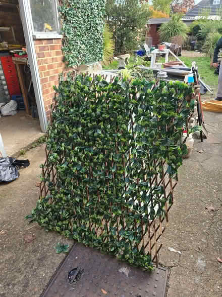 Photo of free expandable artificial leaf trellis fence (Elmers End BR3) #1