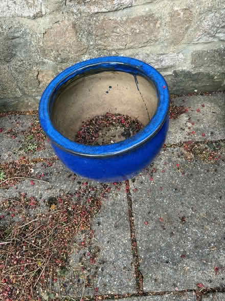 Photo of free Blue pots (Papplewick Nottingham) #3