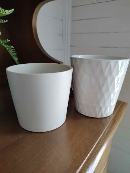 Photo of free 4 in diameter plant pots (Odenton) #1