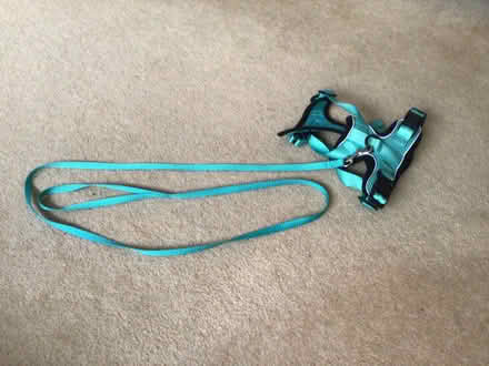 Photo of free Pet harness and lead (St Leonards BH24) #1