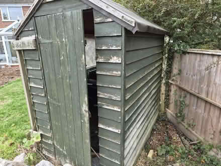 Photo of free Small garden shed (Tewin) #2