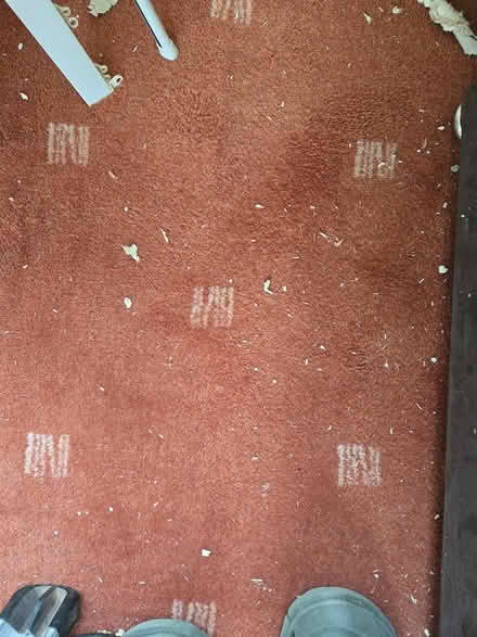 Photo of free Hessian backed carpet (Oadby LE2) #1