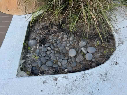 Photo of free Landscape rocks (Myakka City) #4