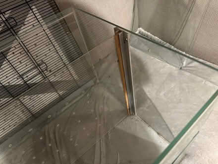 Photo of free Large glass gerbil / hamster tank (Eynsham OX29) #3
