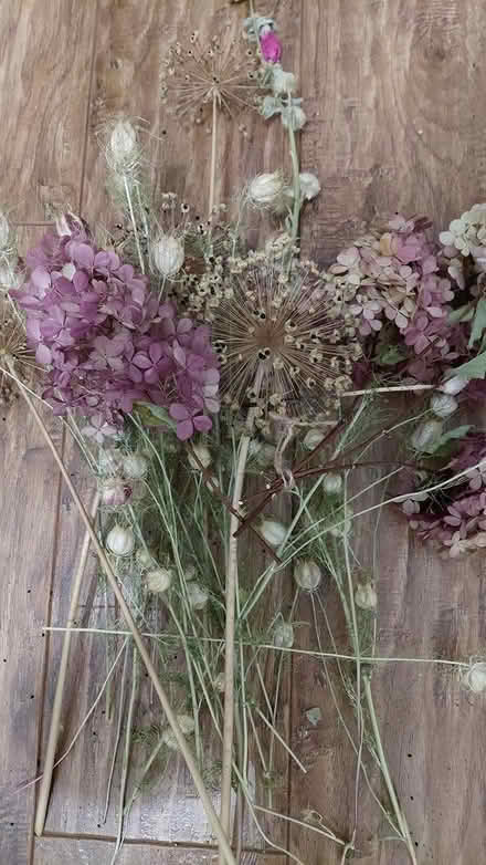 Photo of free Dried flowers (Sheffield S12) #1