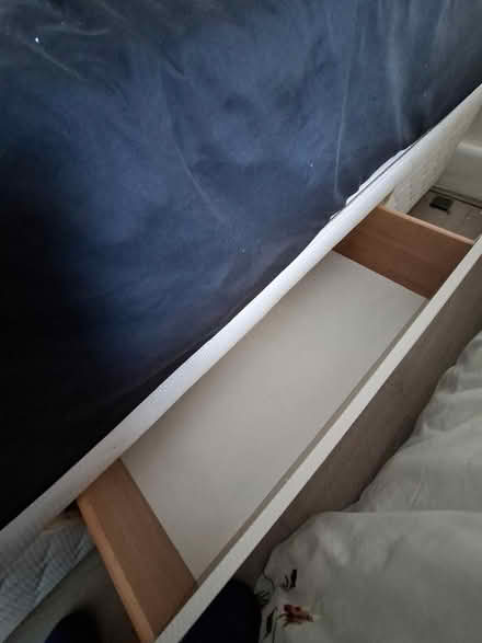 Photo of free Single bed (Drimnagh) #2
