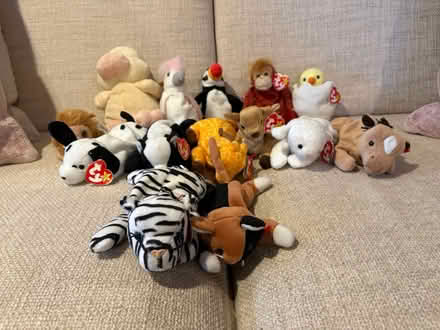Photo of free Beanie Baby Collection (putnam valley) #1