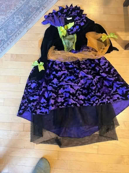 Photo of free Girls L which costume (Evanston, near Penny Park) #1
