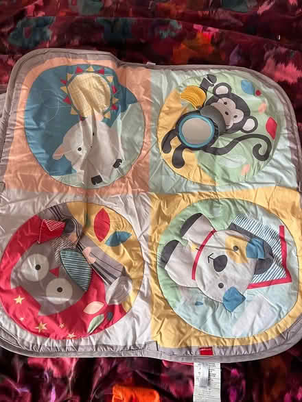 Photo of free Baby tummy time playtime (CH2 (Newton)) #2