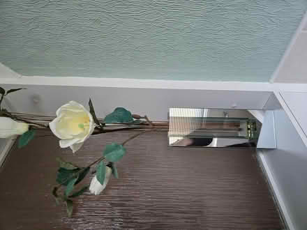 Photo of free Glass vase with artificial flower (Copnor PO3) #1