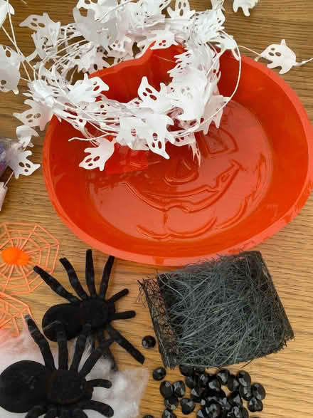 Photo of free Halloween party accessories/decorations (Hellesdon NR6) #4