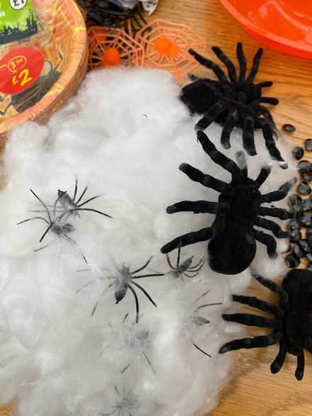Photo of free Halloween party accessories/decorations (Hellesdon NR6) #2