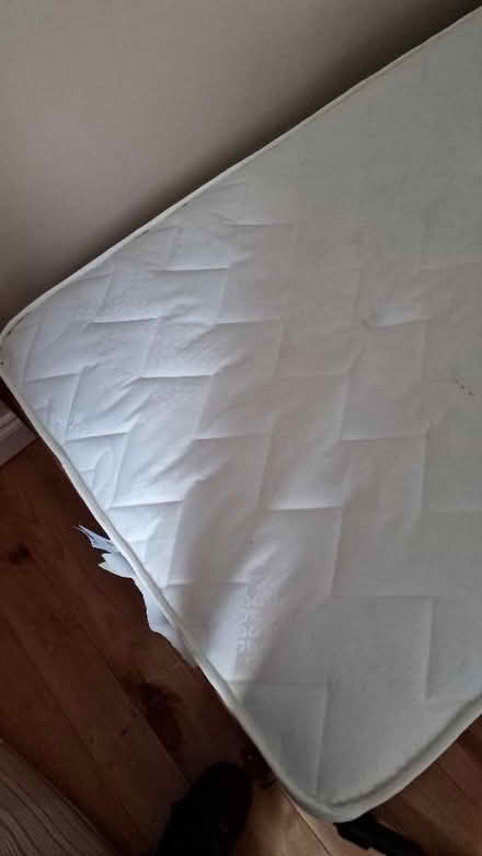 Photo of free Standard single mattress (Wigton CA7) #1