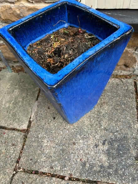 Photo of free Blue pots (Papplewick Nottingham) #2