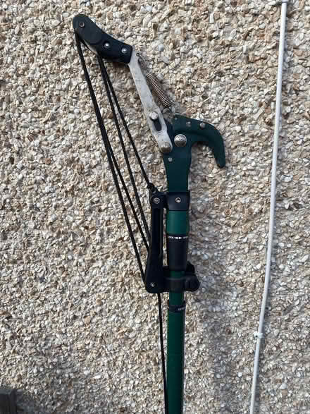Photo of free Branch remover (Musselburgh EH21) #1