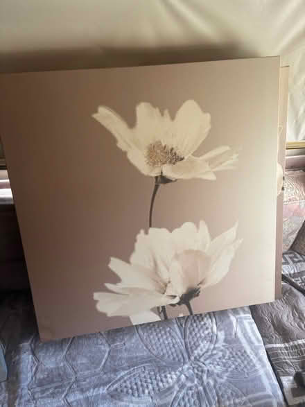 Photo of free Set of three canvas (Earby BB18) #3