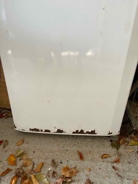 Photo of free Fridge/freezer (Ardleigh CO7) #4